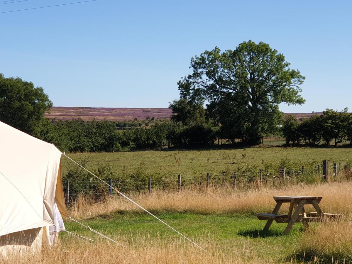 6 Guests - Bell Tent - Wood Stove - Views * Liverton